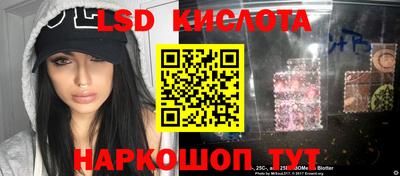 стаф Кинель