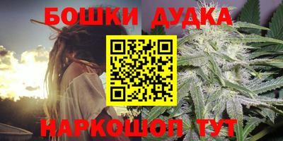 стаф Кинель