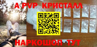 стаф Кинель
